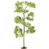 ‎Bachmann Industries Bachmann Trains inches Aspen Trees 2 Per Box