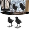 Not specified Set di due statue decorative realistiche corvi neri per il for tuo spazio for