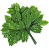 Piante Finte per Decorazione Interni, Finto Muschio e Foglie Finte, per Ufficio