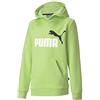 PUMA Ess 2 col Hoody FL B Felpa per Bambini, Bambino, Felpa, 583232-34_M, Verde (Sharp Green), 128