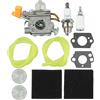 RUIXING Carburatore 11* per PLT3043YE per ruixing Quick-Start Filtro Rica