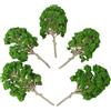 5 pezzi di modelli di paesaggio verde con alberi di gelso per diorami decorativi
