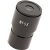 WF5X Microscopio biologico Widefield Oculare Lente ottica 30mm per Lab