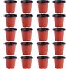 120 Pcs Vasi Piccoli Per Fiori Di Plastica Contenitore Piante Succulente
