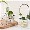 Contenitore Per Terrario Con Vaso Idroponico Per Piante In Vaso Di Vetro Sospeso