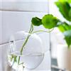Vaso Per Piante In Vetro Sospeso, Vaso Per Bottiglie, Contenitore Per Terrari,