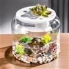 Acquario Acquario Tabletop Trendy Ornamento Sogro Display Display Micro