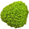 25 g di muschio decorativo artificiale, decorazioni fai da te per camera da