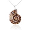 Tenet CRIGEMA - FOSSILI (AMMONITE CIONDOLO 30-40MM)