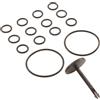 Pentair 42001-0014Z Kit Valvola Stelo Bypass