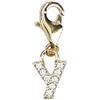 Depesche 11785-040 Charms Express Yourself-Ciondolo per collane e bracciali, Lettera Y, Placcato Oro, Come Piccolo Regalo, Multicolore, Normal