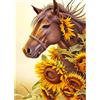 AIRDEA Cavallo Girasole 5D DIY Completo Kit per Pittura Diamante Mosaico Fai D