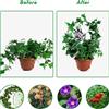 Struttura rampicante per per piante metallo ferro battuto arredo per giardino 3