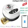 Valvola Acqua Smart WiFi Spegnimento per Funzionamento Remoto con Per