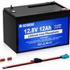 DCHOUSE Batteria LiFePO4 12V/24V/48V 6Ah 24Ah 100Ah 200Ah Batteria al litio BMS per RV