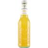 GALVANINA Aranciata Bevanda Frizzante Organic 355cl