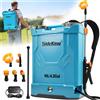 Pompa Irroratrice a Batteria 16 Litri Atomizzatore a Spalla con 5 Ugelli