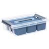 Plast Team CONTENITORE PRO BOX DA 8 LITRI CON ORGANIZZATORI - CAPACITÀ PB27369