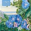 Flame Tree Publishing Ltd Adult Jigsaw Puzzle Kew: Marianne North: Amatungula and Blue Ipomoea, South Afri