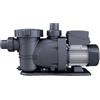 Pompa di filtrazione Fino a 100 m³ 900 W Ø600 mm 1 CV autocebante
