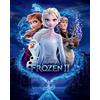 La Reine des Neiges 2 La Frozen 2 WDC94977 Tela Stampata 40 x 50 cm (Magic), Multicolore, 40 x 50 x 3, 8 cm