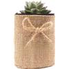 10 Vasi Sacchetto di Tela per Succulente Piante da Interno Decoraz