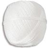 Chapuis PPV1BL Spago in polipropilene - 39 kg - Titolazione 2/1800 - Diametro 1,6 mm - 100 g - Lunghezza 90 m - Bianco