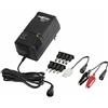 ANSMANN Caricatore pacchi batterie ACS110 NiMH/NiCd 1-10 celle - Caricabatterie