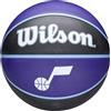 Wilson Pallone da Basket NBA Team Tribute, Copertura Indoor/Outdoor