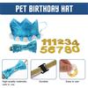 1 Set Pet Dog Birthday Party Crown Hat Pet Bow Tie Kit Forniture per bomboniere