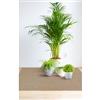 KOBEL Copripavimento PVC Corallo 9845 4 0,80 mm 200HCM 80,0 Mq