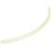 Cintura Denti Sigillo Sigillante 1 PC 1 Continua