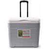 Cooler Box 30L con Ruote, Borsa Frigo Rigida per Campeggio e Outdoor, da