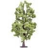 Hornby Lime Tree