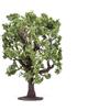 Hornby Oak Tree