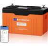 ECO-WORTHY ECO WORTHY LiFePO4 Batteria 12V 314Ah EnergyTrek BMS Bluetooth display 15000