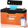 ECO-WORTHY ECO WORTHY 12V 314Ah EnergyTrek LiFePO₄ Batteria Bluetooth e Display Batteria