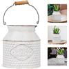 Decorazione scena vaso di fiori in ferro stile vintage 1 pezzo bianco