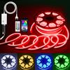 ALITOVE Striscia LED RGB 25M 230V Striscia LED Neon dimmerabile 80 LED/m