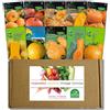 Nojaus Sėklos Nojus Collezione di semi di zucca 10 varietà di zucche giganti moscate e