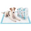 BPS PET SHOP TAPPETINI IGIENICI PER CANI 60x60cm 100PEZZI TAPPETINI ASSORBENTI CON ANTIODORE
