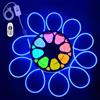ALITOVE Striscia LED per esterni, 230 V, collegamento diretto, 30 m, RGB