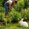 Recinzione Rete Giardino Esterno, Rete Elettrosaldata in Acciaio, per Orto