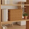 Baule Portaoggetti in Stile Rattan Multifunzione per Soggiorno, Armadio