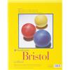 PRO ART Strathmore 300 - Carta Bristol Vellum, 28 cm x 35,5 cm