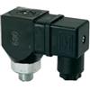 RIEGLER 103018-DS 6002 - Interruttore a pressione, girevole, in acciaio, G 1/8, 1-10 bar, 1 pezzo