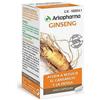 Arkopharma Arkocapsules Ginseng 45caps