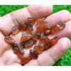 Markenlos Lotto 24 pezzi incredibile granato di hessonite grezzo misura 8-14 mm per gio...