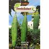 Seedsselect Semi Zucca Luffa Cylindrica Zucchina Rampicante Spugna Vegetale