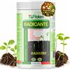 FITOKEM Radistar Effetto Ormone Radicante per Talee in Polvere (800 gr)